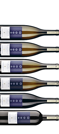 Tasting package «Lageder» – je 1x75 cl Gaun 2022, Fragment 2023, Versalto 2022, Porer 2023, Mimuet 2021, Conus 2021