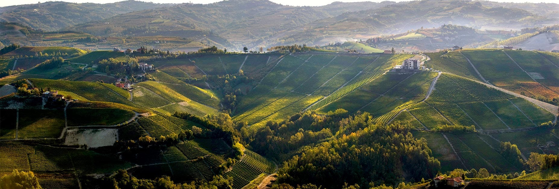 Imposante Hügellandschaft, worauf die Reben des Produzenten Beni di Batasiolo wunderbar gedeihen