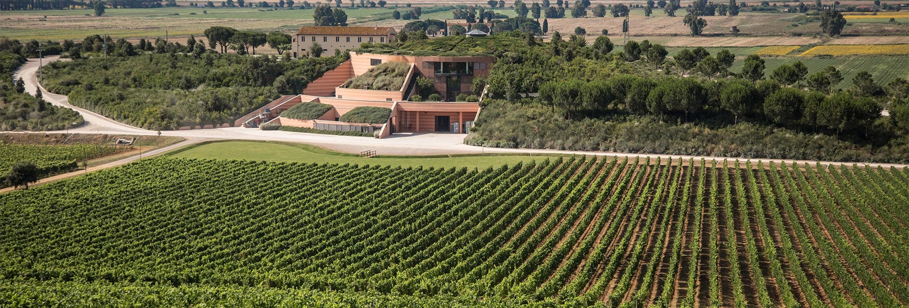 Rebbergen sowie das Hauptgebäude des Weinguts Le Mortelle in der Toskana welches ebenfalls zur Familiendynastie Antinori gehört
