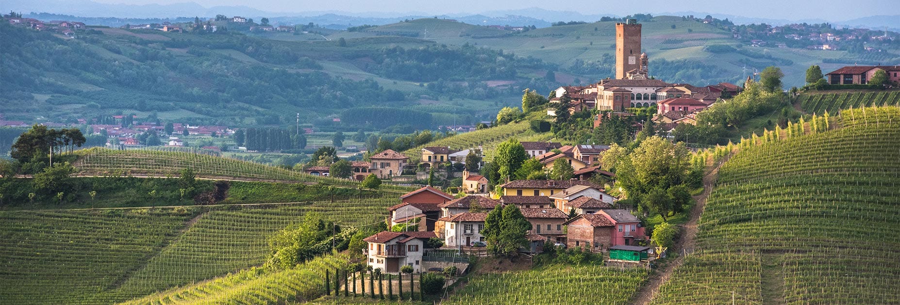 Blick auf des schöne Städtchen Barbaresco inmitten der hügeligen Piemonteser Landschaft