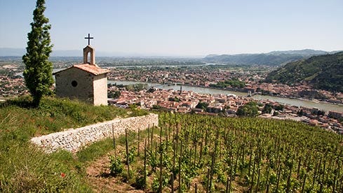 Das Rhônetal hat seine Reben entlang des Flusses