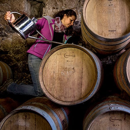 Önologin Viviana füllt Wein in ein Barrique