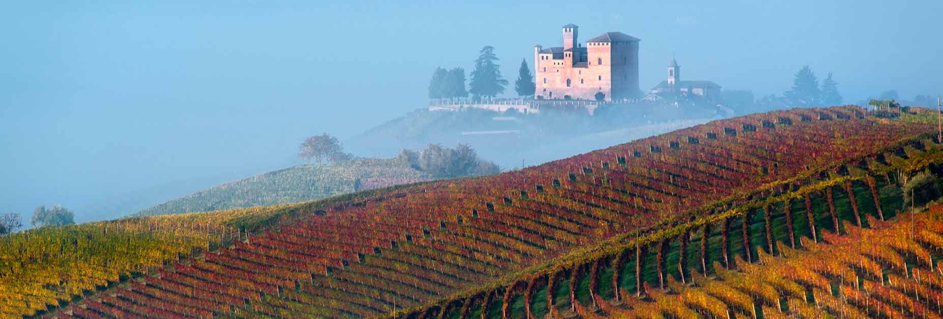 Barolo, der König aus dem Piemont ist hier heimisch und gedeiht perfekt