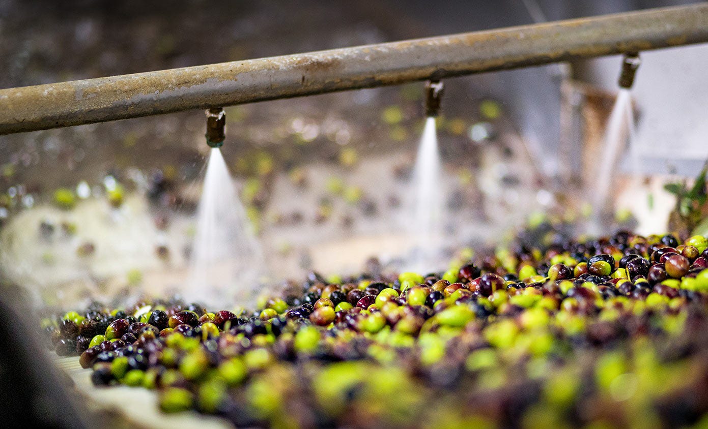 Amphoren in denen einst Wein vergoren wurde