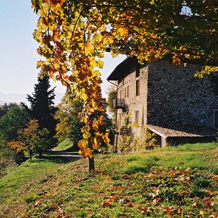 Herbstliche Stimmung auf dem Weingut Conti Bossi Fedrigotti