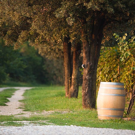 Herbstliche Stimmung auf dem Weg zum Weingut mit einem Barriquefass